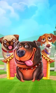 The Dog House